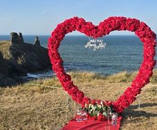 Proposal heart red flower arch for hire or sale