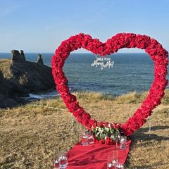 Proposal heart red flower arch for hire or sale