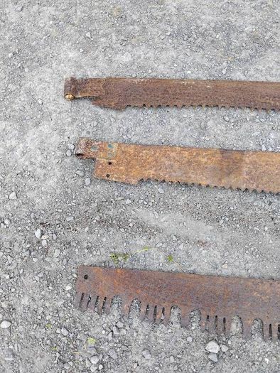 Three vintage crosscut saw blades,