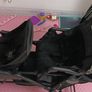 Graco Double Buggy Stroller Pushchair Image 5