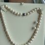 freshwater pearls & stud earring set Image 2