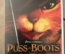 Wii Puss in Boots