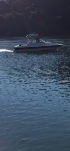Boat Project Boat Bayliner 1994