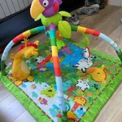 Fisher-Price Play Matt