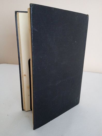 Saint Dominic and His Sons by Teresa Lloyd (RB187)