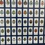 Framed set of Wills Cigarette cards Image 2