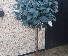 artificial trees