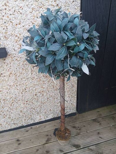 artificial trees