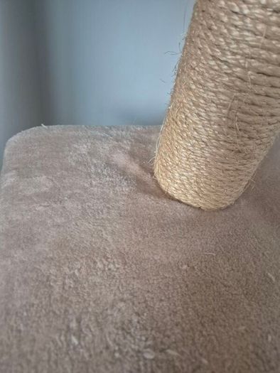 cats scratching pod