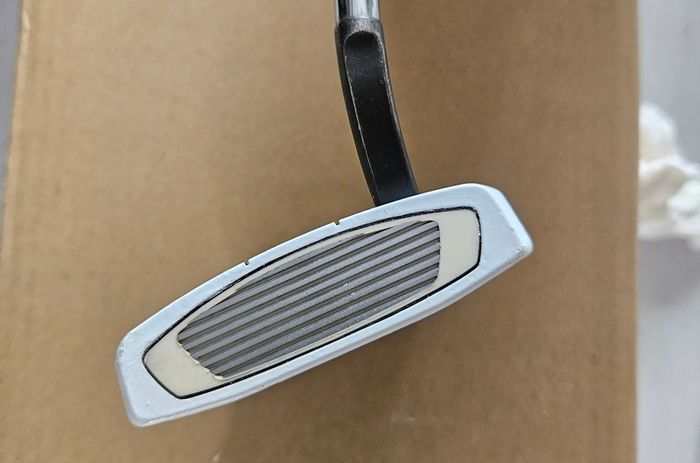 Taylormade Spider EX