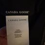 canada goose hybrid Image 5