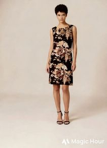 Monsoon dress