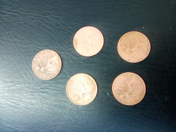 5.  Old  English. Pennies