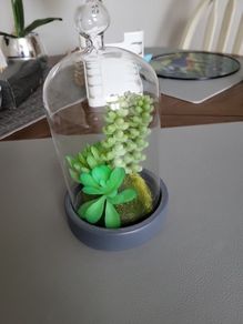 Cactus artificial