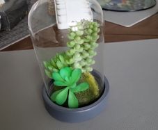 Cactus artificial