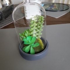 Cactus artificial