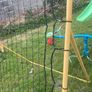 rebounder Image 2