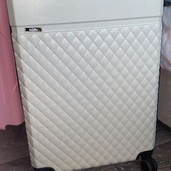 Large suitcase