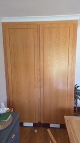 Wardrobe/large hot press doors