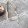 lifting sling Image 3