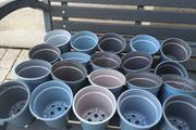 20x small plastic plant pot