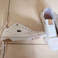 men's Lacoste shoes