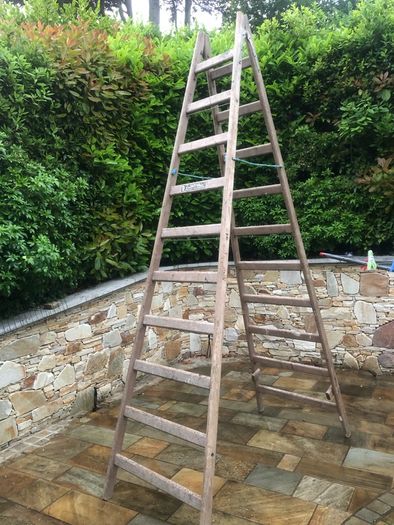 painters ladder