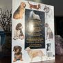The Illustrated Encyclopaedia of Dog Breeds by Joan Palmer Image 5