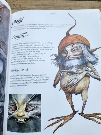 Good Faeries Bad Faeries. By Brian Froud. Edited By  Terri Windling. First Edition Large Volume Paperback In Very Good Condition.