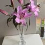 Duiske Irish glass 10 inch vase with original sticker Image 2