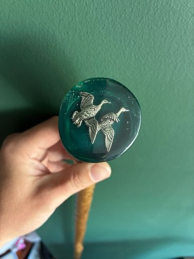 walking stick cane