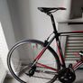 Trek Alpha 1.2, Carbon Fiber Fork, Shimano 105 Group set, Size L Image 3