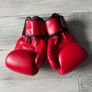 MMA kids gear, shorts, gloves shin guards Image 10