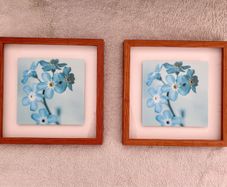 Beautiful 2 Framed Pictures from Next