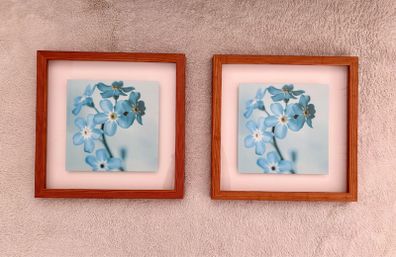 Beautiful 2 Framed Pictures from Next