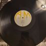 Rosie Vela - Zazu - vinyl LP - Steely Dan Image 4