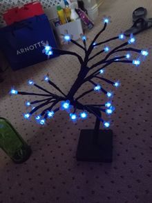 Bedside Lights