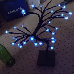 Bedside Lights
