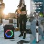 NEW SALE | Karaoke Machine with 2 UHF Wireless Microphones, Bass/Treble Bluetooth Speaker with LED Light, Support TWS, AUX In, FM, REC, Supply for Party/Adults/Kids Image 2