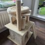 Cat Tree Image 2