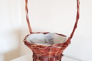 Wooden Basket