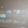 Footie&Movie Fans-Android Projector Auto Focus with cool apps Image 10