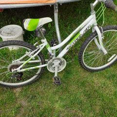 Bike 24inch