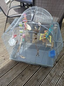 bird cage