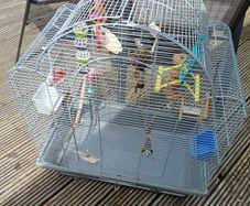 bird cage