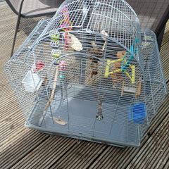 bird cage