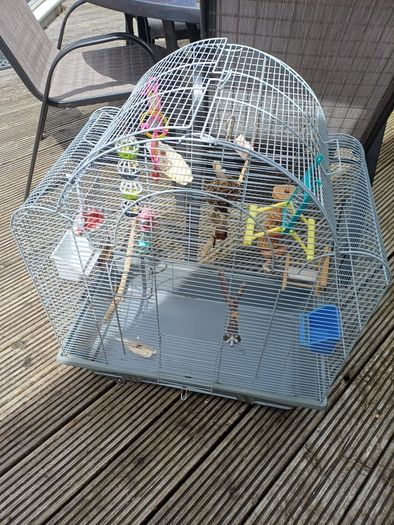 bird cage