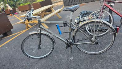 Ridgeback Speed City / Hybrid Bike
