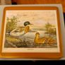 Coasters.GAME BIRD THEME.  For Use Or Display. Image 6