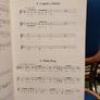 Failte Ui Cheallaigh music score book Image 10